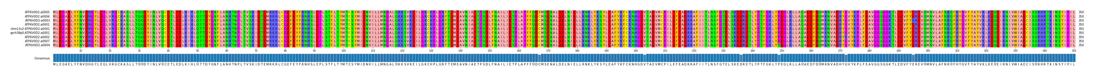 Multiple Alignments (by translate haplotype similarity)