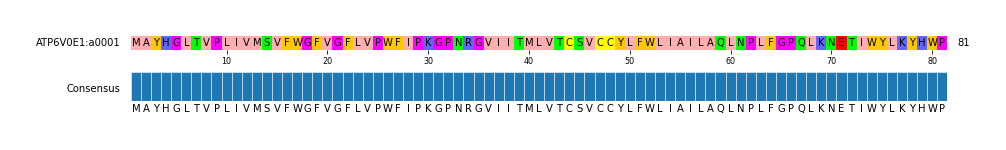 Multiple Alignments (by translate haplotype similarity)
