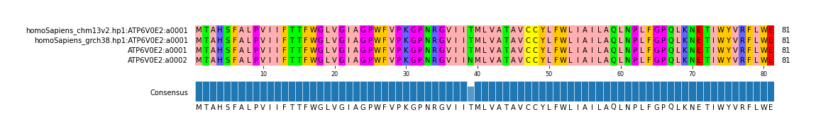 Multiple Alignments (by translate haplotype similarity)