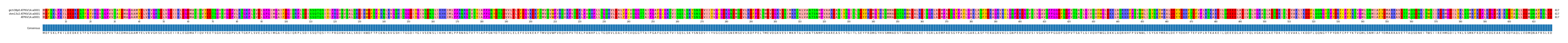 Multiple Alignments (by translate haplotype similarity)