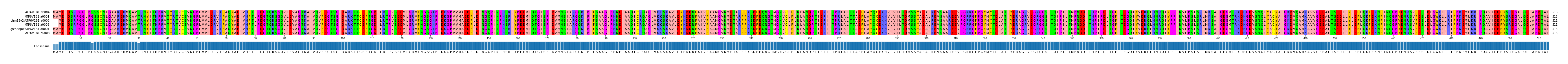Multiple Alignments (by translate haplotype similarity)