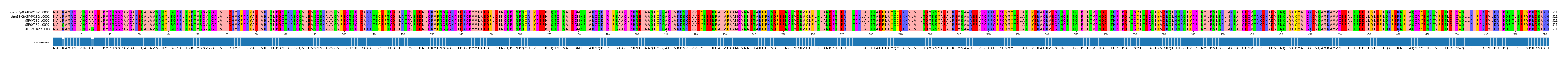 Multiple Alignments (by translate haplotype frequency)