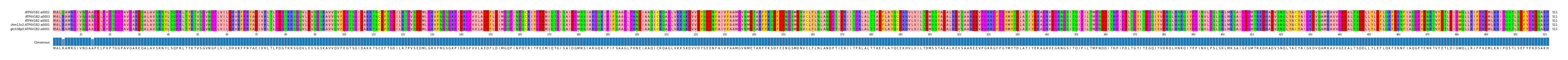 Multiple Alignments (by translate haplotype similarity)