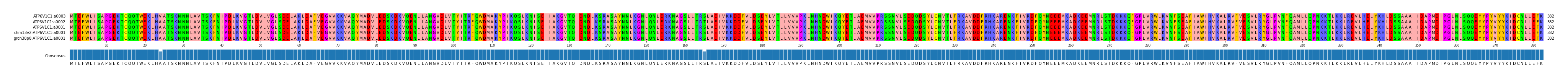 Multiple Alignments (by translate haplotype similarity)