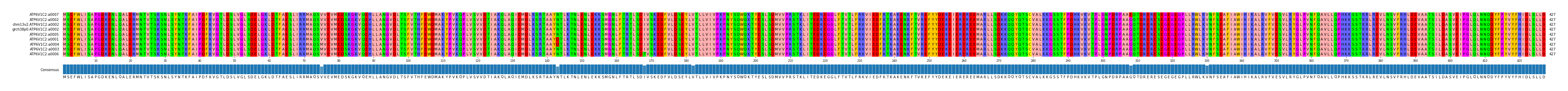 Multiple Alignments (by translate haplotype similarity)