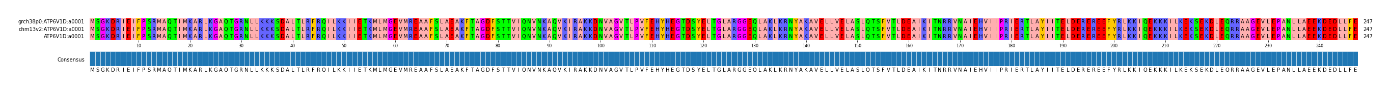 Multiple Alignments (by translate haplotype similarity)