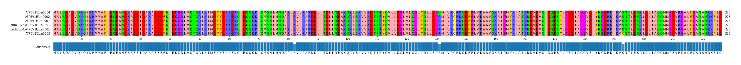 Multiple Alignments (by translate haplotype similarity)