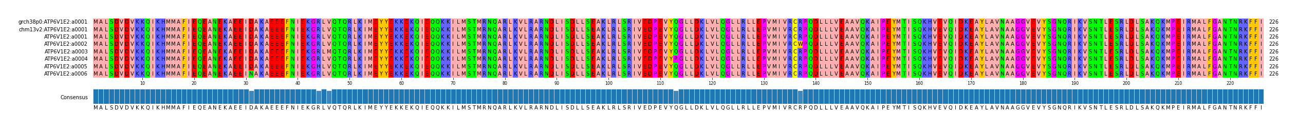 Multiple Alignments (by translate haplotype frequency)