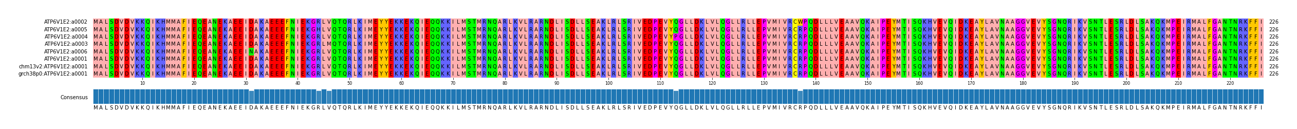 Multiple Alignments (by translate haplotype similarity)