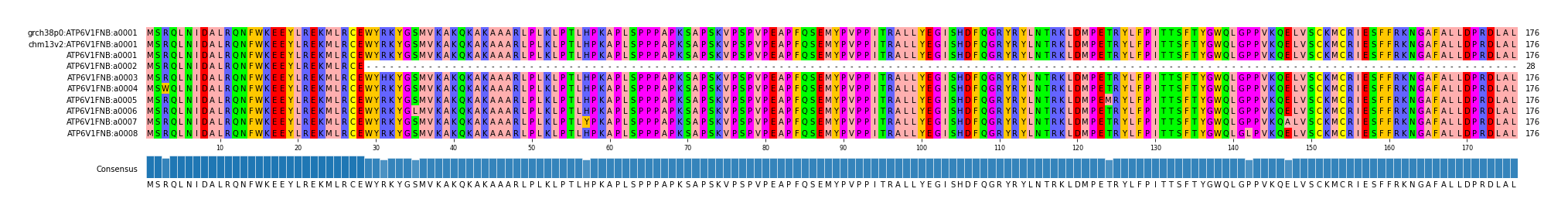 Multiple Alignments (by translate haplotype frequency)