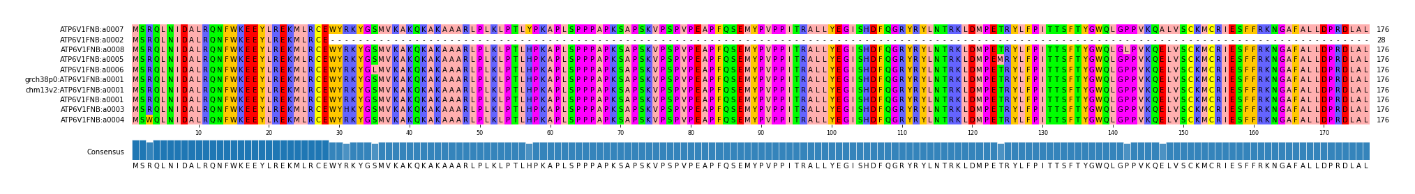 Multiple Alignments (by translate haplotype similarity)