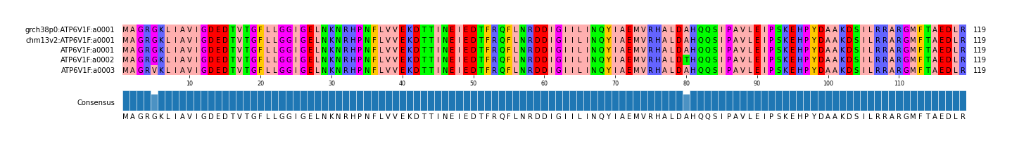 Multiple Alignments (by translate haplotype frequency)