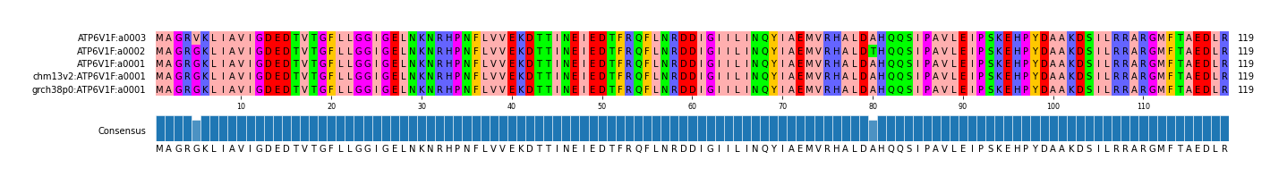 LD (by translate haplotype similarity)