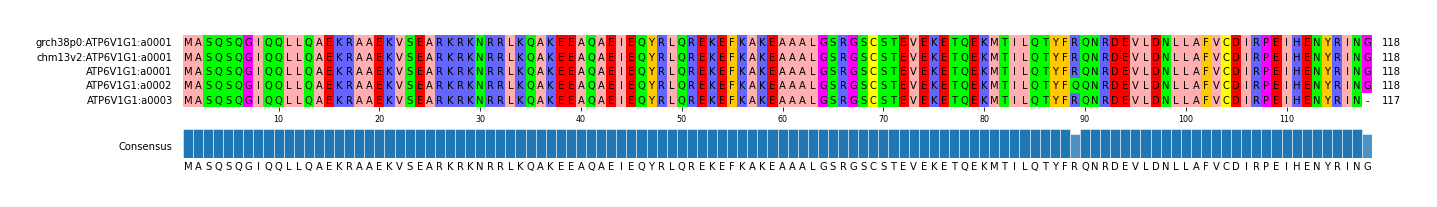 Multiple Alignments (by translate haplotype frequency)