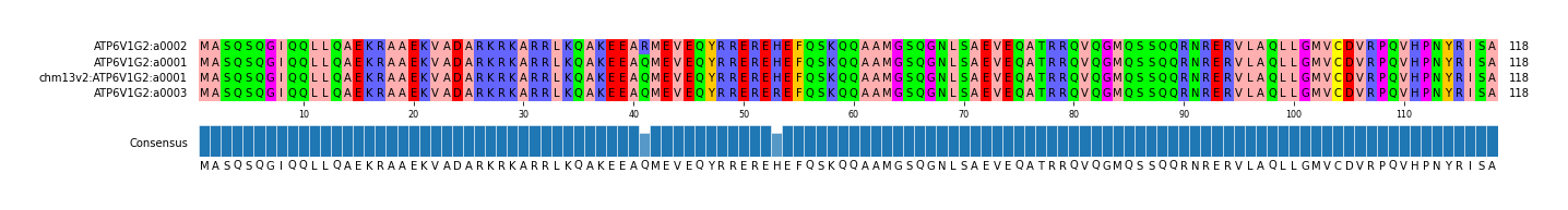 Multiple Alignments (by translate haplotype similarity)