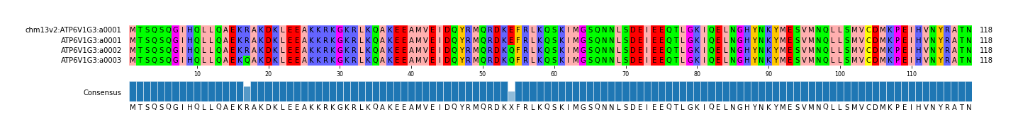 Multiple Alignments (by translate haplotype frequency)