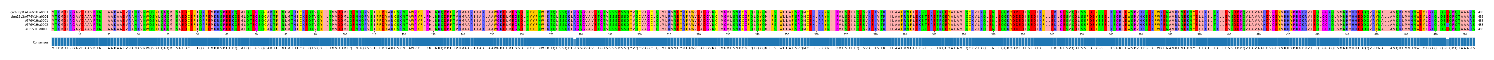 Multiple Alignments (by translate haplotype frequency)