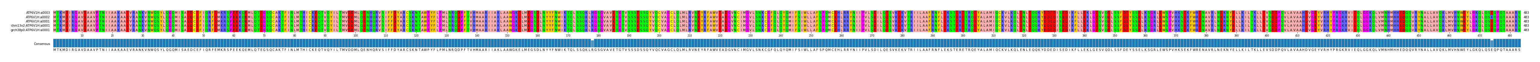 Multiple Alignments (by translate haplotype similarity)