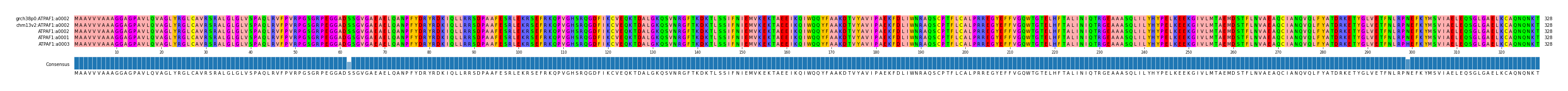 Multiple Alignments (by translate haplotype similarity)