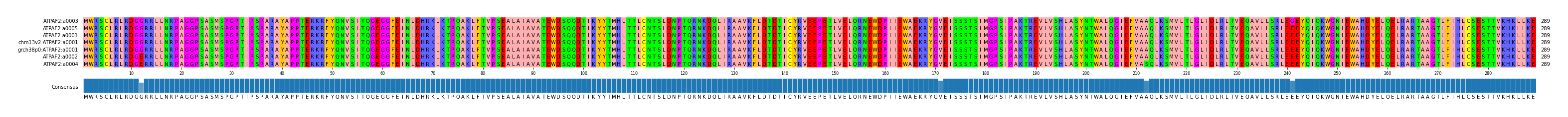 Multiple Alignments (by translate haplotype similarity)