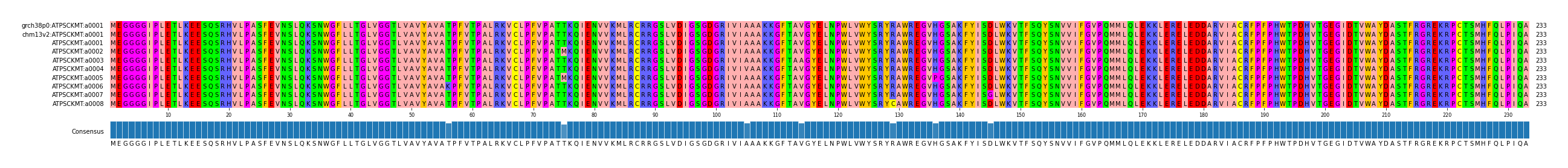 Multiple Alignments (by translate haplotype frequency)