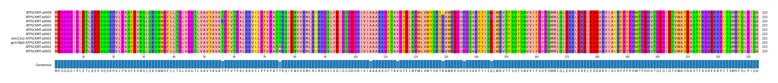 Multiple Alignments (by translate haplotype similarity)