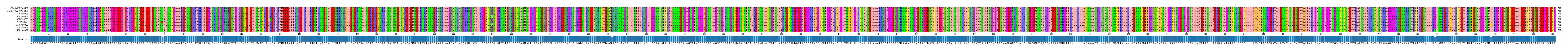 Multiple Alignments (by translate haplotype frequency)