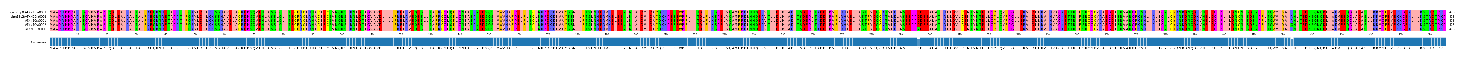 Multiple Alignments (by translate haplotype frequency)