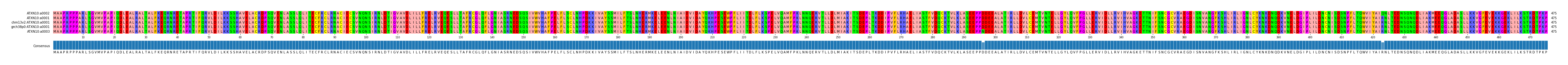 Multiple Alignments (by translate haplotype similarity)