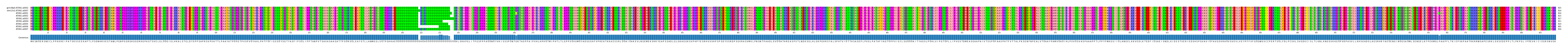Multiple Alignments (by translate haplotype frequency)
