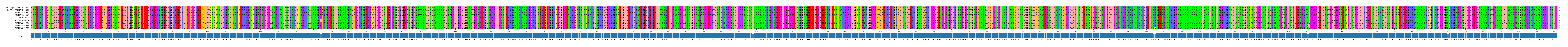 Multiple Alignments (by translate haplotype frequency)