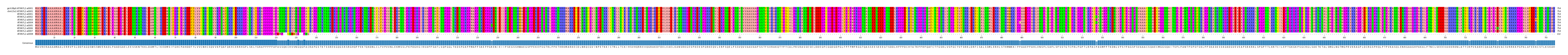 Multiple Alignments (by translate haplotype frequency)