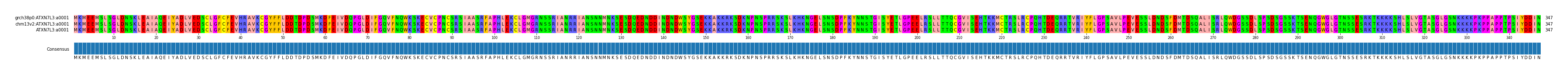 Multiple Alignments (by translate haplotype similarity)