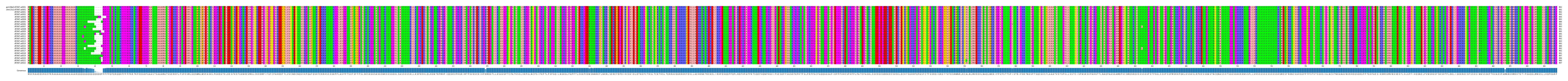 Multiple Alignments (by translate haplotype frequency)