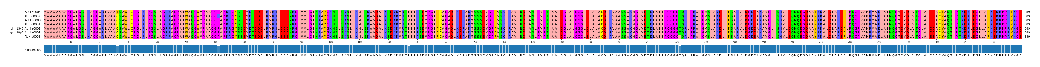 Multiple Alignments (by translate haplotype similarity)