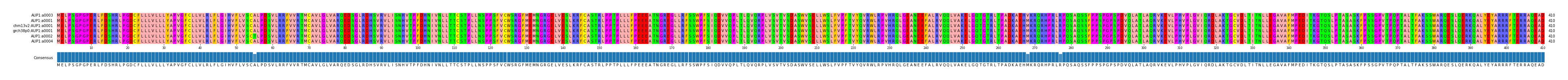 Multiple Alignments (by translate haplotype similarity)