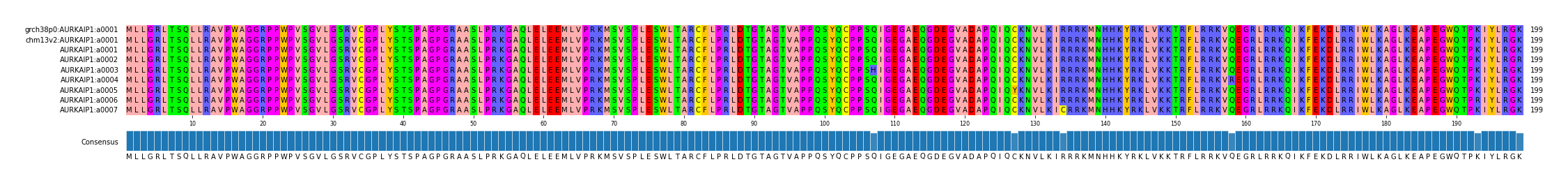Multiple Alignments (by translate haplotype frequency)