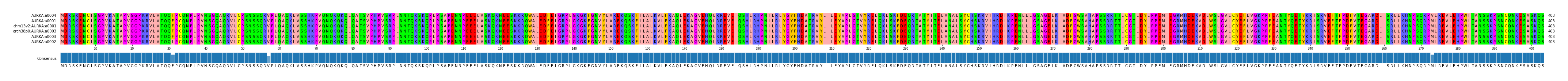 Multiple Alignments (by translate haplotype similarity)
