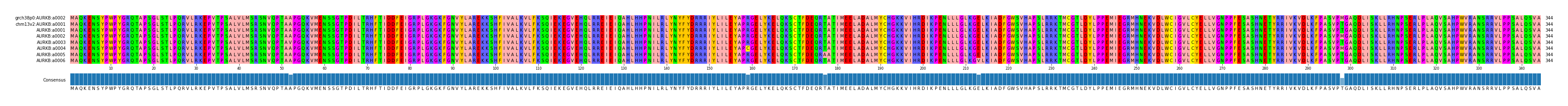 Multiple Alignments (by translate haplotype frequency)