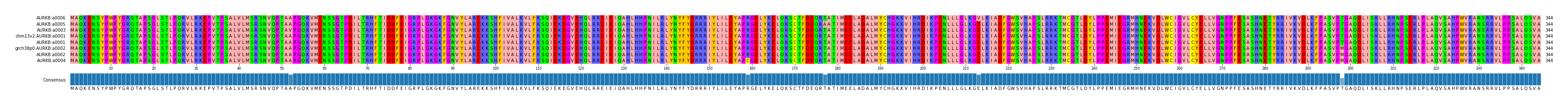Multiple Alignments (by translate haplotype similarity)