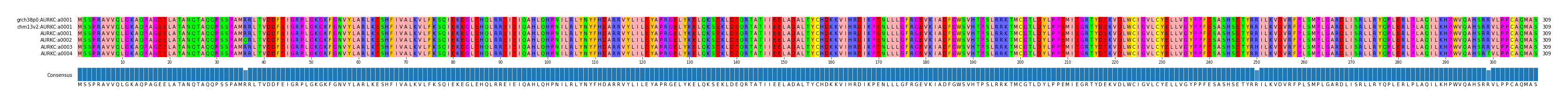 Multiple Alignments (by translate haplotype frequency)