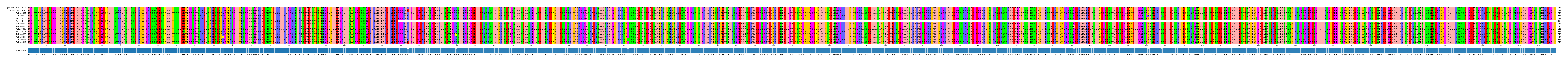 Multiple Alignments (by translate haplotype frequency)