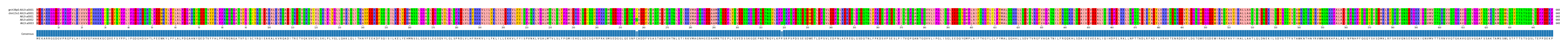 Multiple Alignments (by translate haplotype frequency)