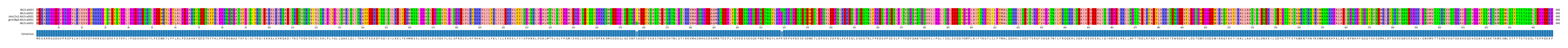 Multiple Alignments (by translate haplotype similarity)