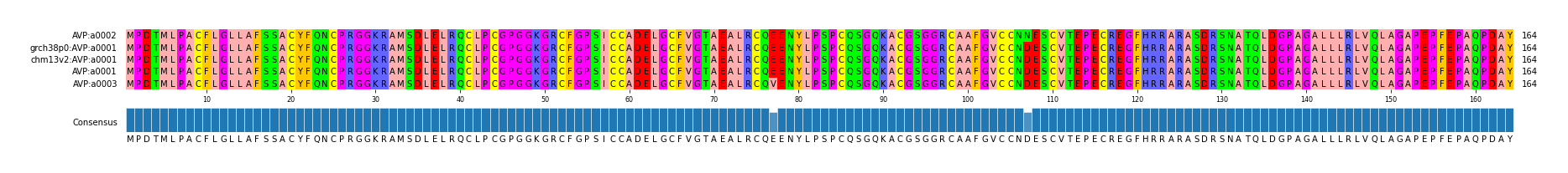 Multiple Alignments (by translate haplotype similarity)