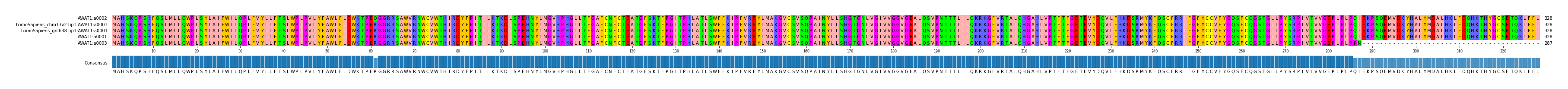 Multiple Alignments (by translate haplotype similarity)