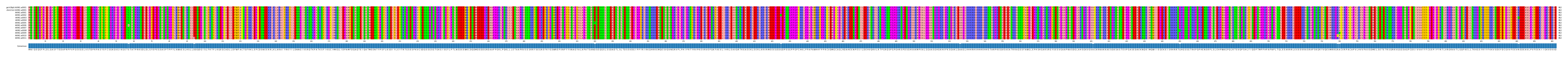 Multiple Alignments (by translate haplotype frequency)