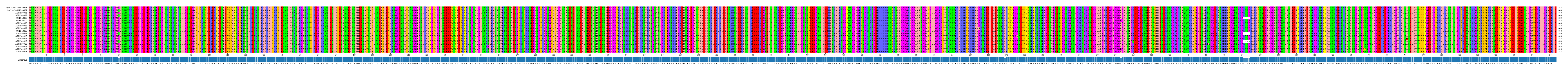 Multiple Alignments (by translate haplotype frequency)
