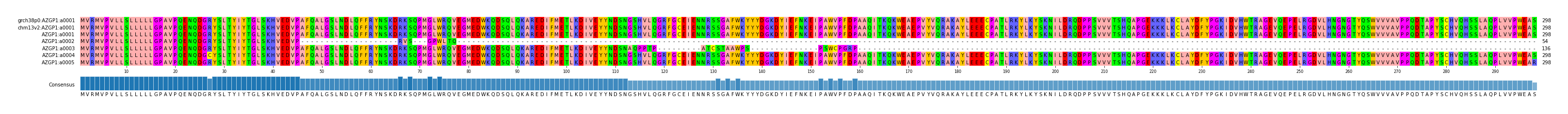 Multiple Alignments (by translate haplotype frequency)