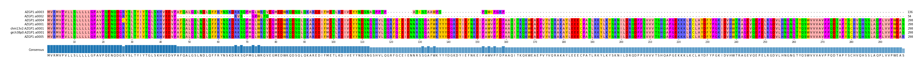Multiple Alignments (by translate haplotype similarity)